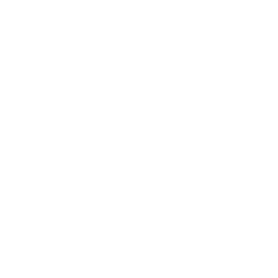 OpenAI Codex